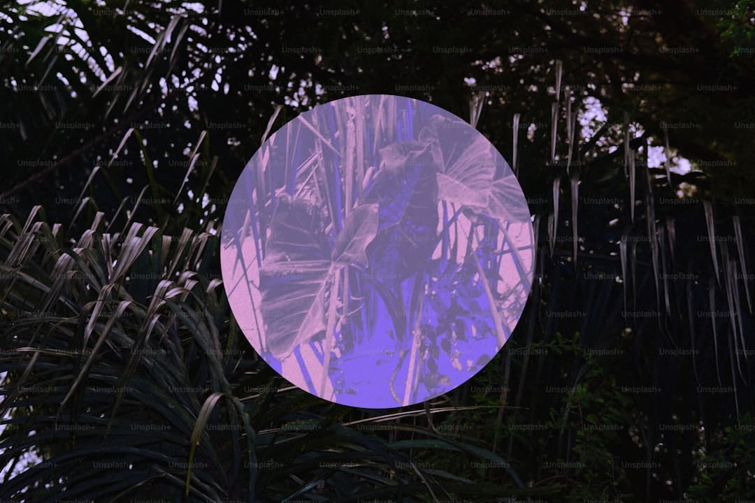 量子隧穿进程新观测推翻传统认知